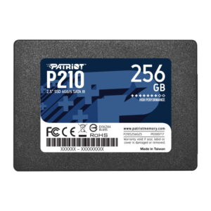 اس اس دی اینترنال پتریوت مدل P210 ظرفیت 256 گیگابایت